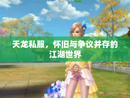 天龙私服，怀旧与争议并存的江湖世界