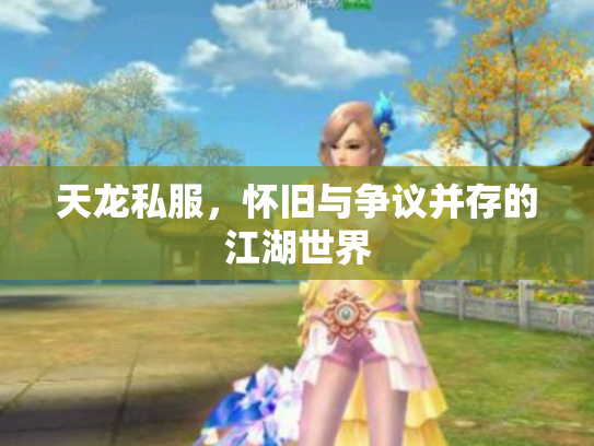 天龙私服，怀旧与争议并存的江湖世界