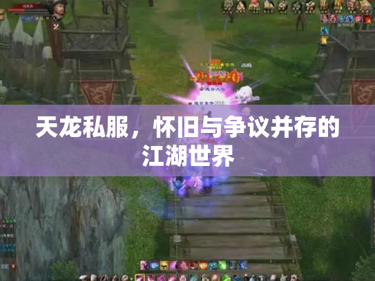 天龙私服，怀旧与争议并存的江湖世界