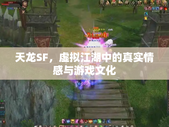 天龙SF，虚拟江湖中的真实情感与游戏文化