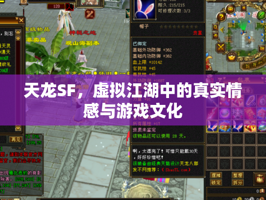 天龙SF，虚拟江湖中的真实情感与游戏文化