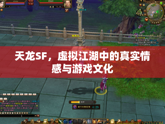 天龙SF，虚拟江湖中的真实情感与游戏文化