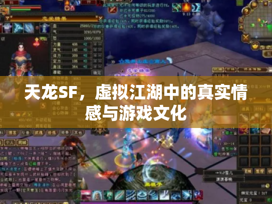 天龙SF，虚拟江湖中的真实情感与游戏文化