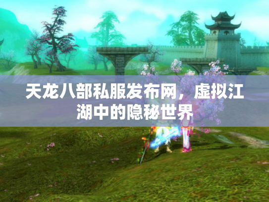 天龙八部私服发布网，虚拟江湖中的隐秘世界