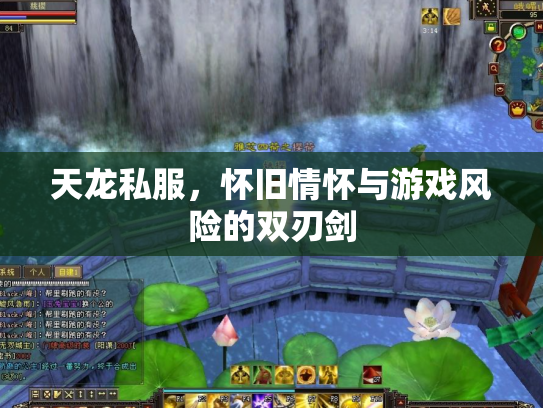 天龙私服，怀旧情怀与游戏风险的双刃剑