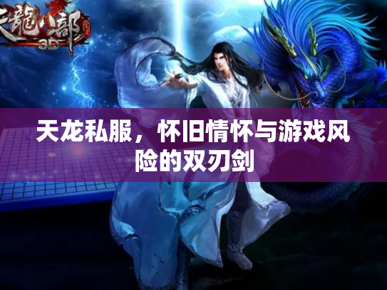 天龙私服，怀旧情怀与游戏风险的双刃剑