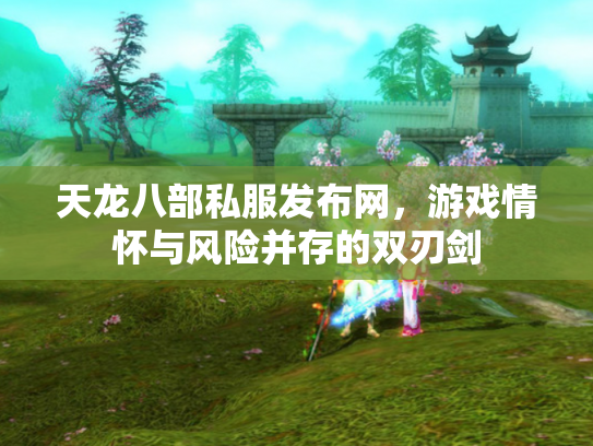 天龙八部私服发布网，游戏情怀与风险并存的双刃剑