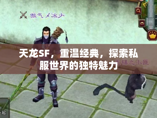 天龙SF，重温经典，探索私服世界的独特魅力
