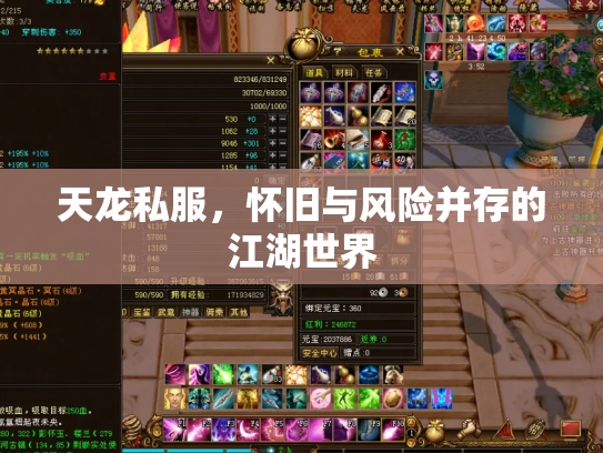 天龙私服，怀旧与风险并存的江湖世界