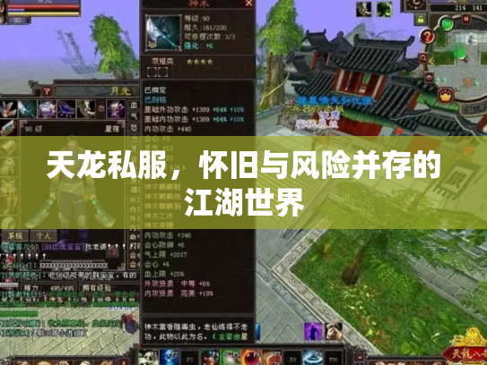 天龙私服，怀旧与风险并存的江湖世界