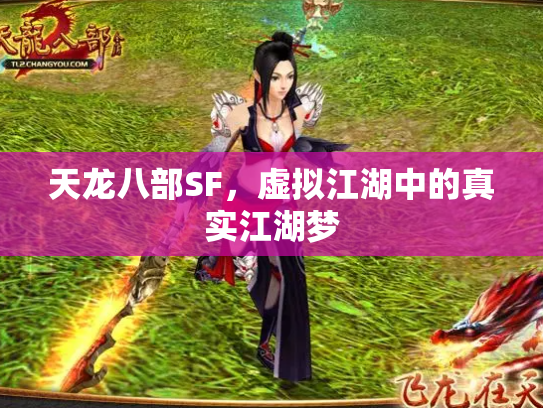 天龙八部SF，虚拟江湖中的真实江湖梦