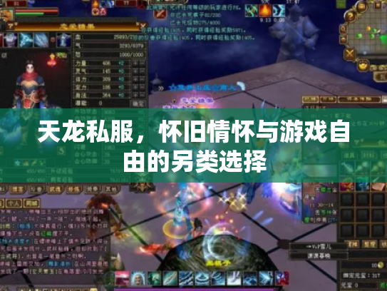 天龙私服，怀旧情怀与游戏自由的另类选择