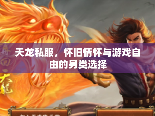 天龙私服，怀旧情怀与游戏自由的另类选择