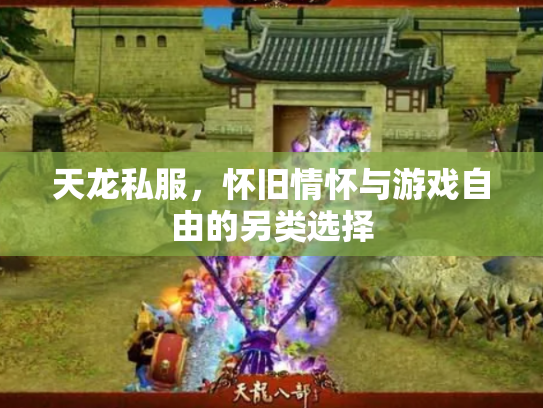 天龙私服，怀旧情怀与游戏自由的另类选择