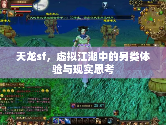 天龙sf，虚拟江湖中的另类体验与现实思考