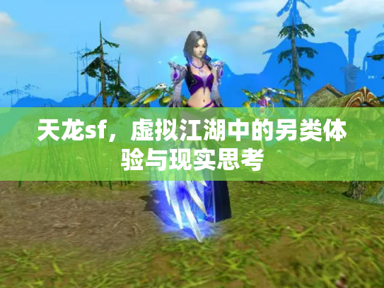 天龙sf，虚拟江湖中的另类体验与现实思考