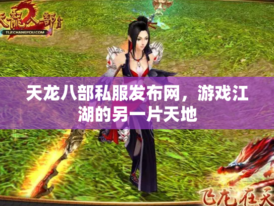 天龙八部私服发布网，游戏江湖的另一片天地