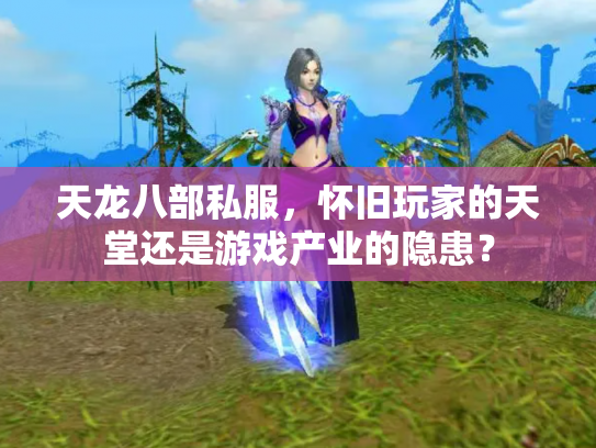 天龙八部私服，怀旧玩家的天堂还是游戏产业的隐患？