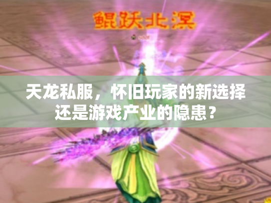 天龙私服，怀旧玩家的新选择还是游戏产业的隐患？