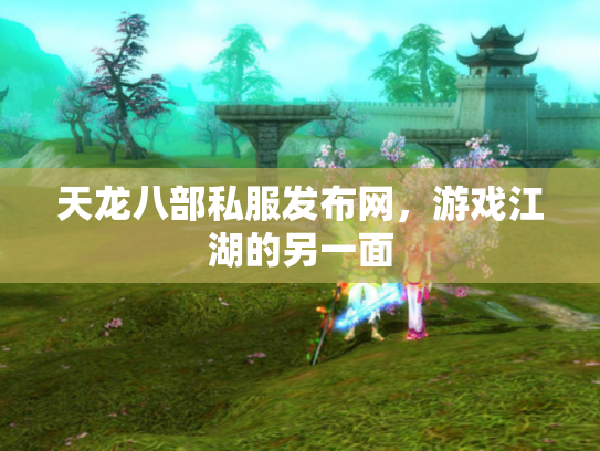 天龙八部私服发布网，游戏江湖的另一面
