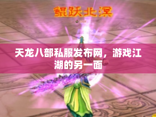 天龙八部私服发布网，游戏江湖的另一面