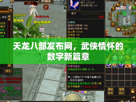 天龙八部发布网，武侠情怀的数字新篇章