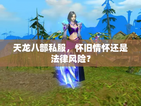 天龙八部私服，怀旧情怀还是法律风险？