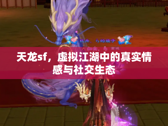 天龙sf，虚拟江湖中的真实情感与社交生态