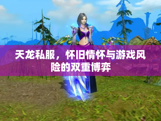 天龙私服，怀旧情怀与游戏风险的双重博弈