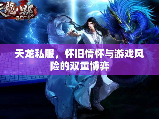 天龙私服，怀旧情怀与游戏风险的双重博弈