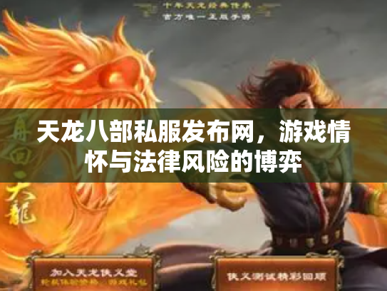 天龙八部私服发布网，游戏情怀与法律风险的博弈