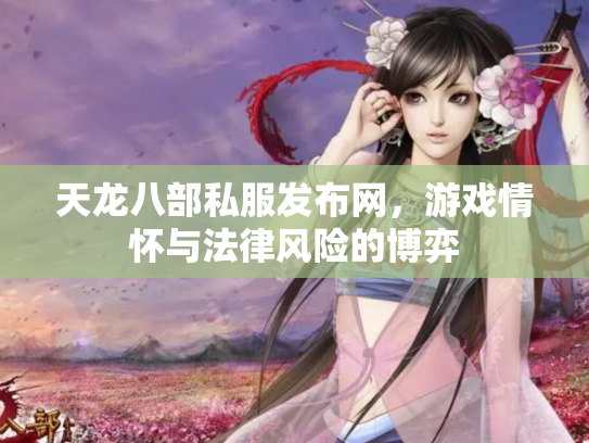 天龙八部私服发布网，游戏情怀与法律风险的博弈