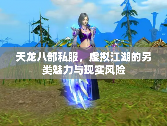 天龙八部私服，虚拟江湖的另类魅力与现实风险