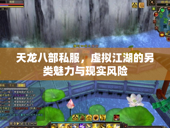 天龙八部私服，虚拟江湖的另类魅力与现实风险