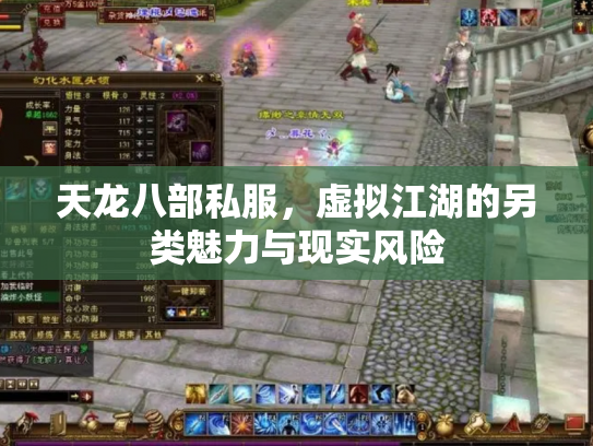 天龙八部私服，虚拟江湖的另类魅力与现实风险