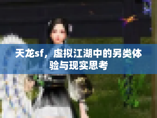 天龙sf，虚拟江湖中的另类体验与现实思考