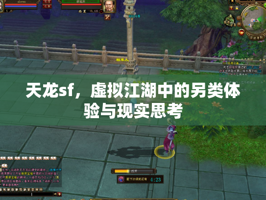 天龙sf，虚拟江湖中的另类体验与现实思考
