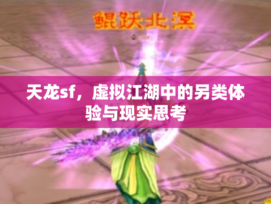 天龙sf，虚拟江湖中的另类体验与现实思考