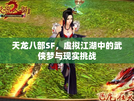 天龙八部SF，虚拟江湖中的武侠梦与现实挑战