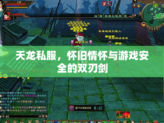 天龙私服，怀旧情怀与游戏安全的双刃剑