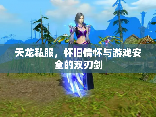 天龙私服，怀旧情怀与游戏安全的双刃剑