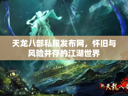 天龙八部私服发布网，怀旧与风险并存的江湖世界