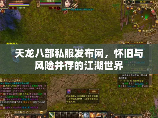 天龙八部私服发布网，怀旧与风险并存的江湖世界