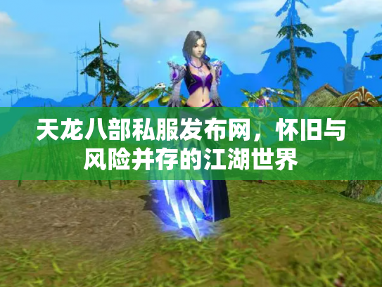 天龙八部私服发布网，怀旧与风险并存的江湖世界