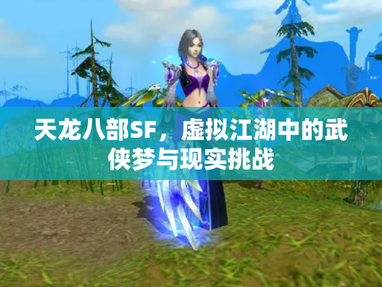 天龙八部SF，虚拟江湖中的武侠梦与现实挑战