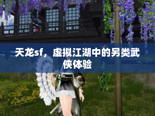 天龙sf，虚拟江湖中的另类武侠体验