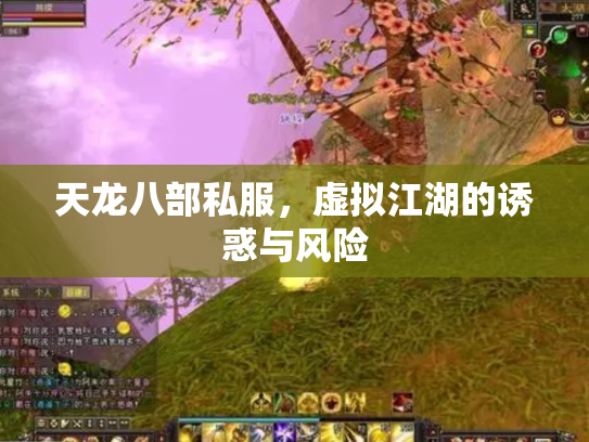 天龙八部私服，虚拟江湖的诱惑与风险