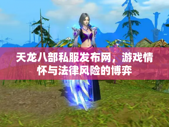 天龙八部私服发布网，游戏情怀与法律风险的博弈