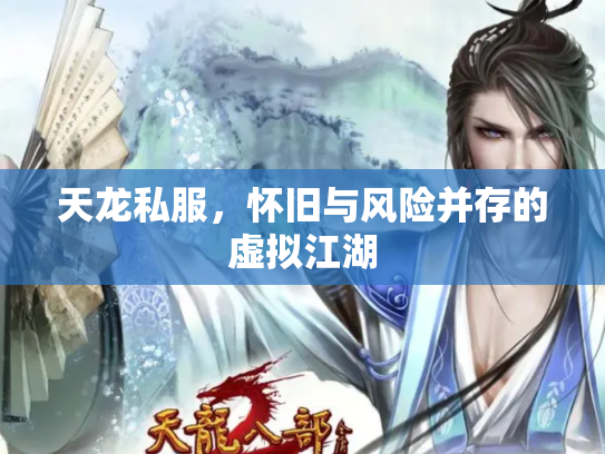 天龙私服，怀旧与风险并存的虚拟江湖