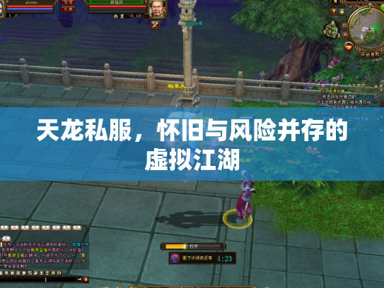 天龙私服，怀旧与风险并存的虚拟江湖